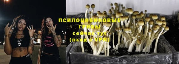 тгк Михайловка
