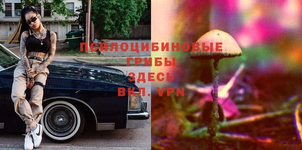 ПСИЛОЦИБИНОВЫЕ ГРИБЫ Долгопрудный